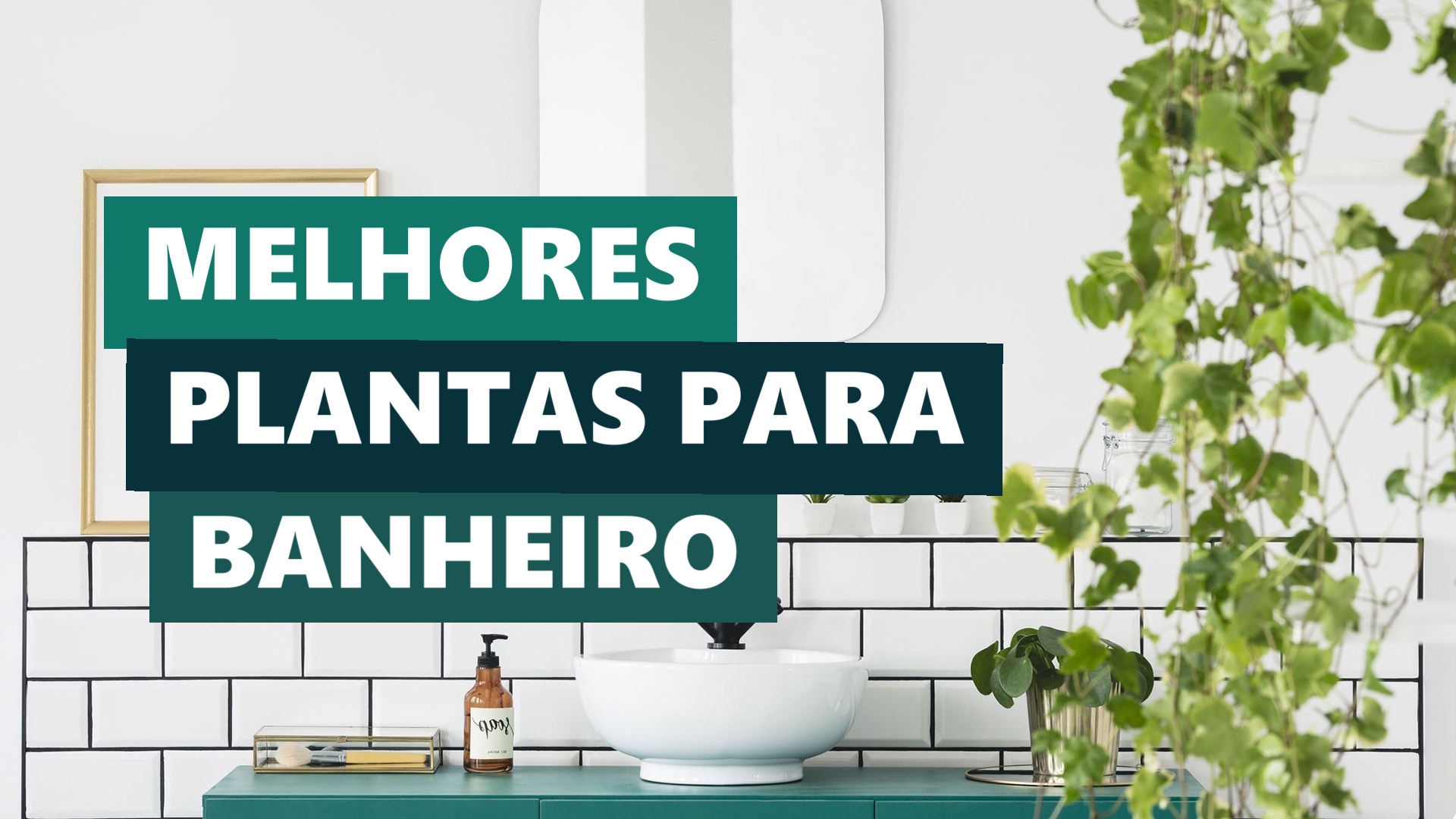 Melhores Plantas para Banheiro com Decoração