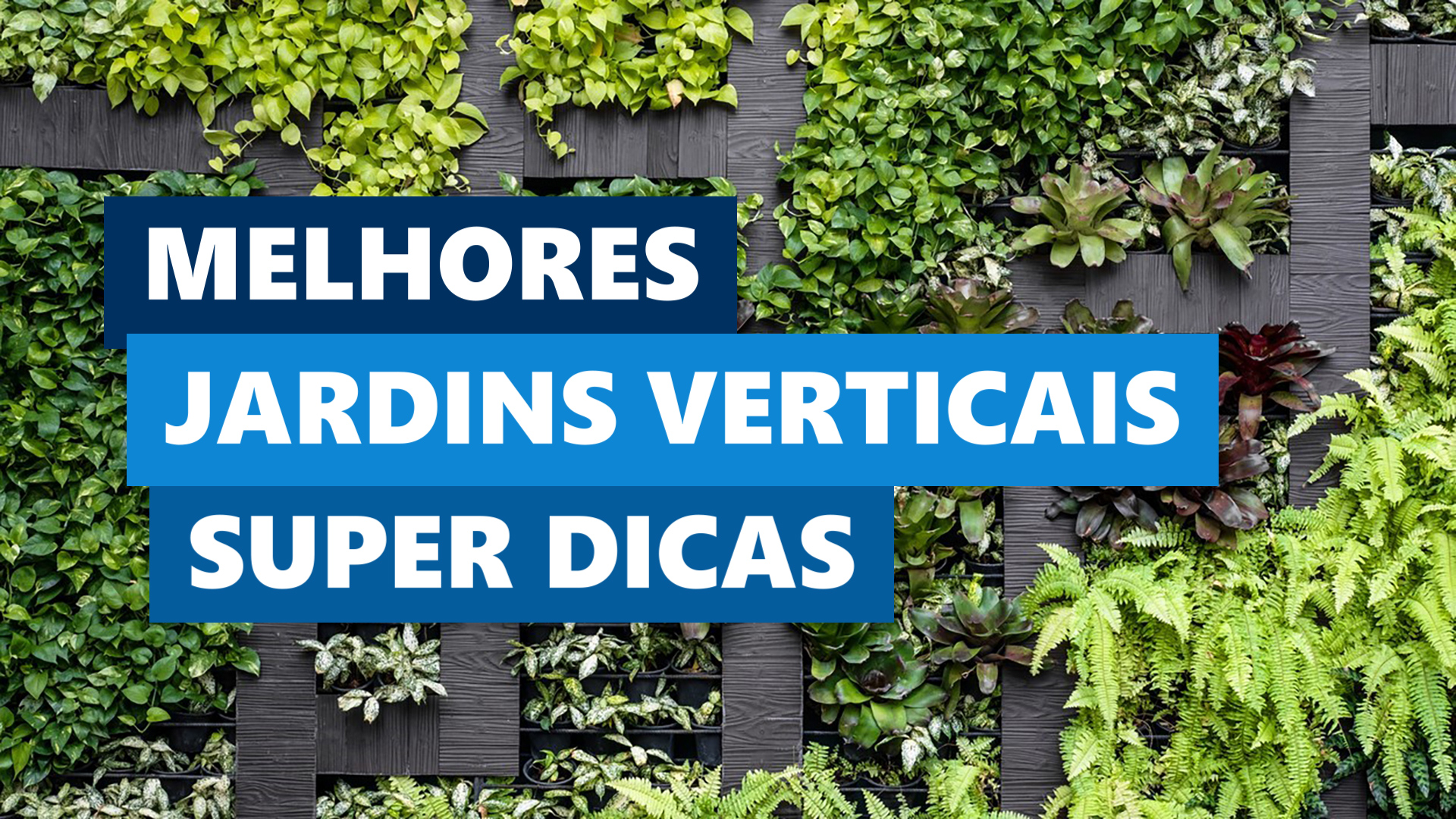 Melhores Ideias Jardim Vertical