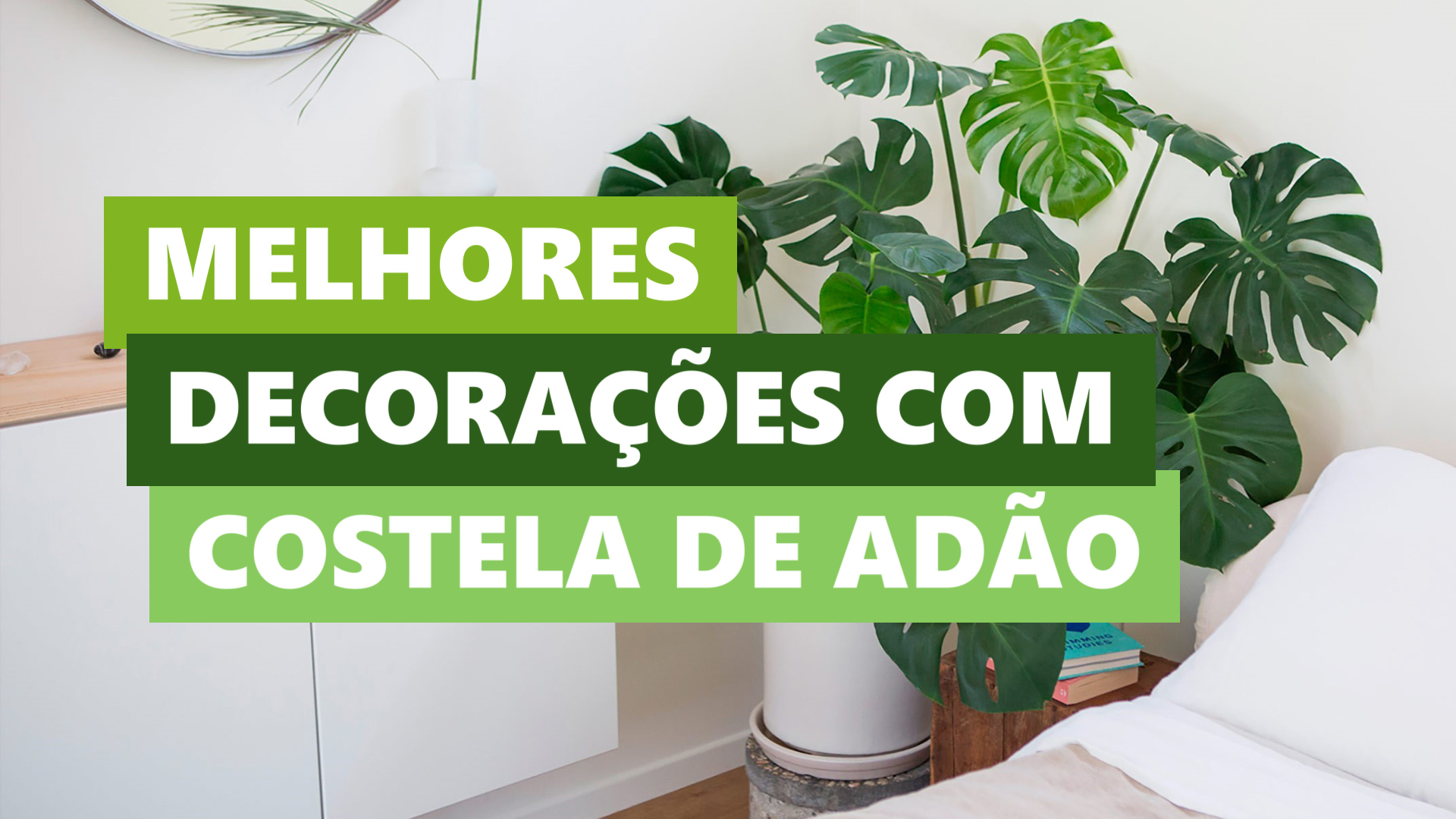 Melhores Ideias Decorações com Costela de Adão