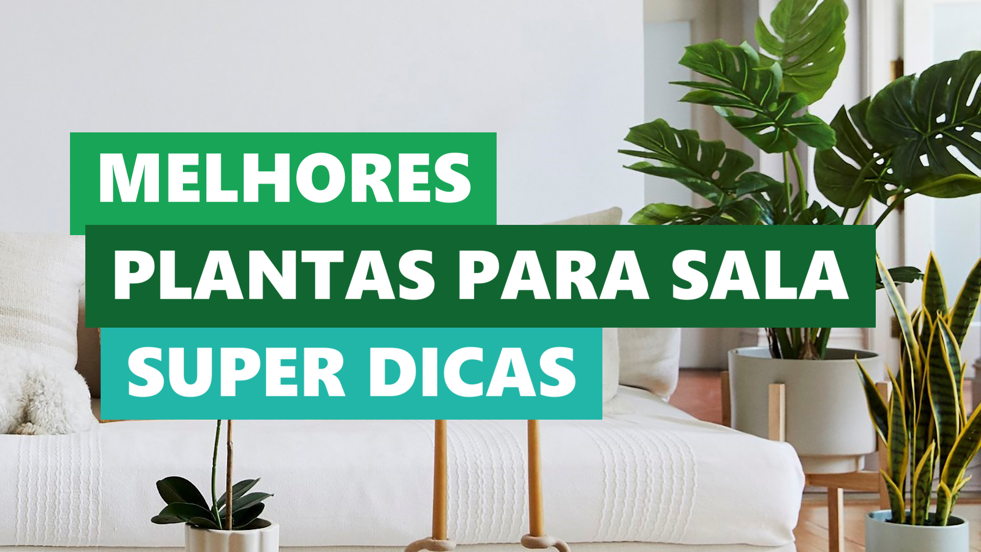 Melhores Ideias Plantas para Sala