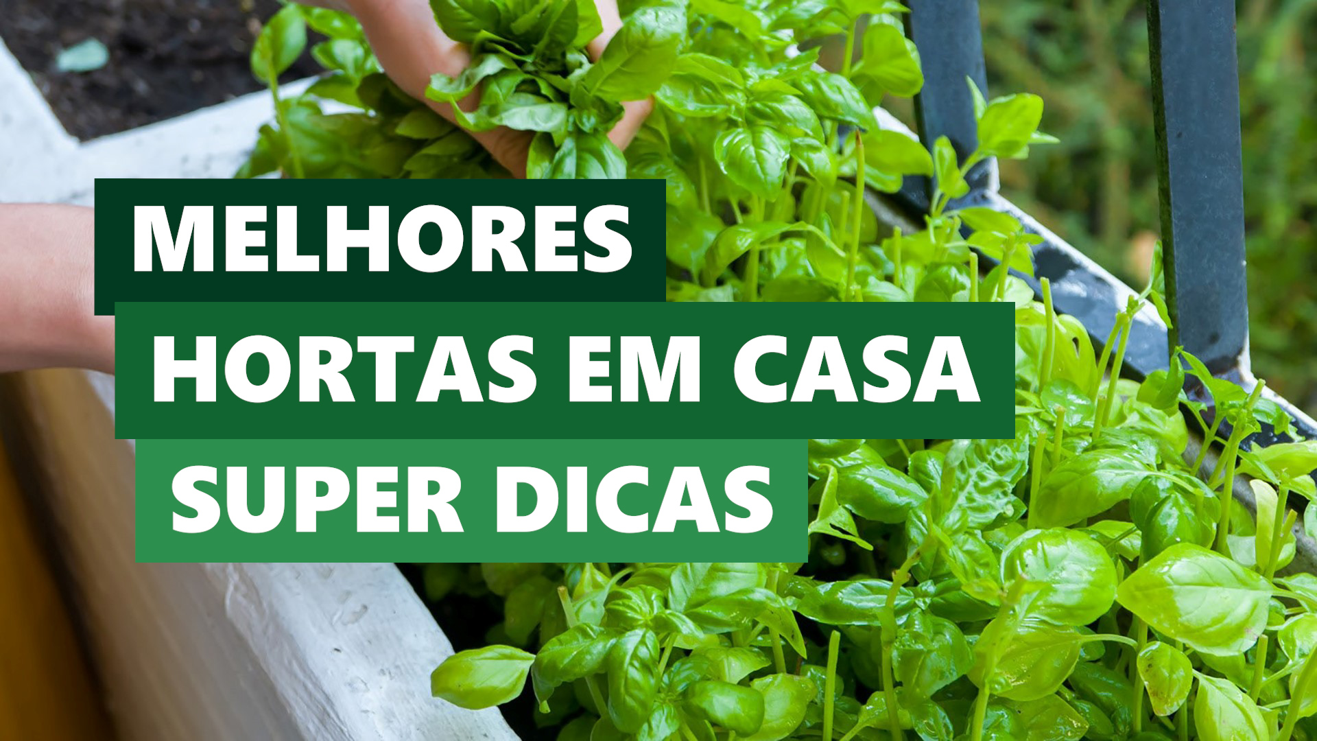 Melhores Ideias Horta em Casa