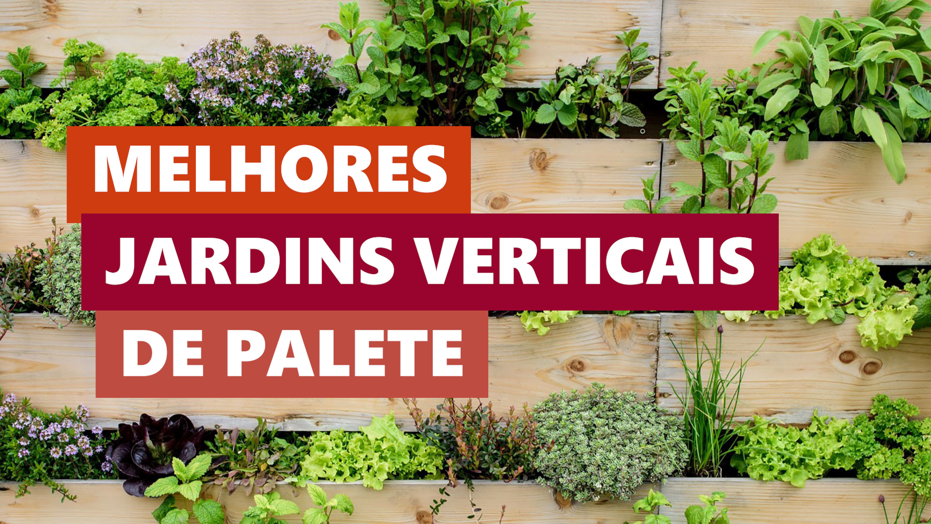 Melhores Ideias Jardim Vertical de Palete