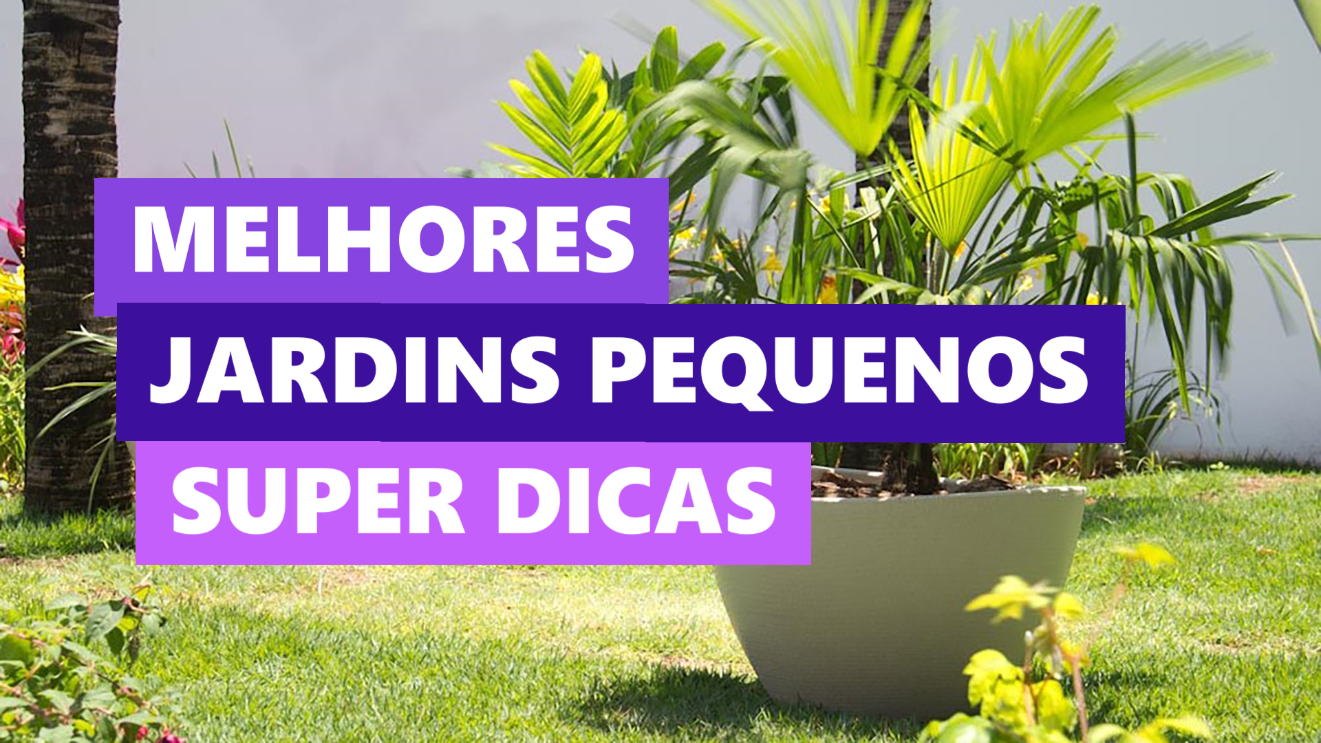 Melhores Jardins Pequenos e Baratos para Casas Simples