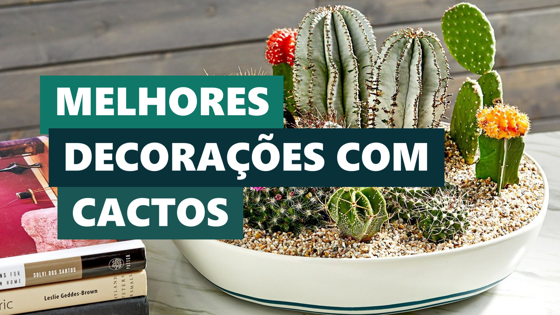 Melhores Ideias Decoração com Cactos